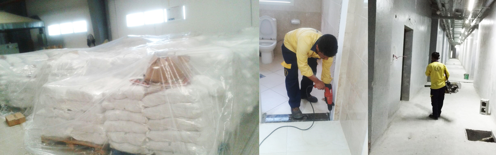 Speed Eagle Pest Control, Dubai, UAE, Best pest control services and cleaning services company in Dubai