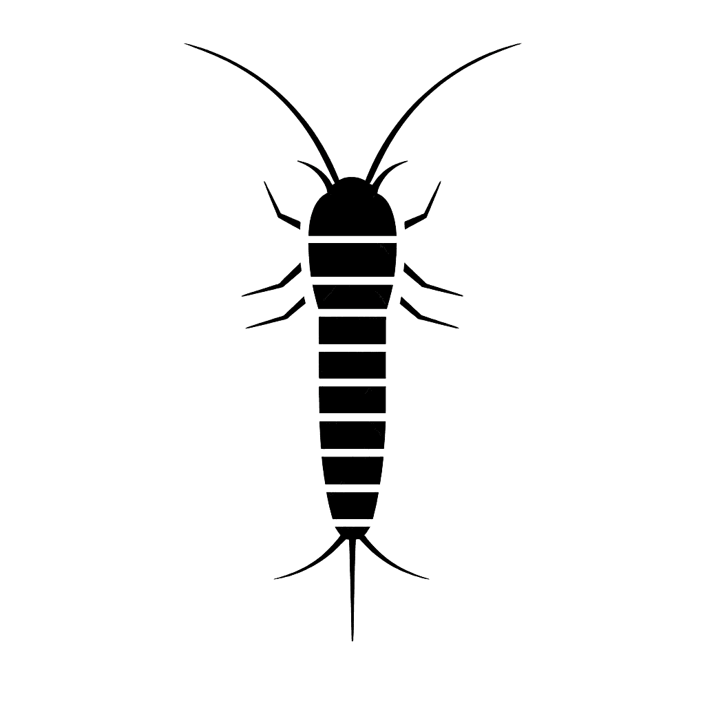 Silverfish pest control - illustrated tile