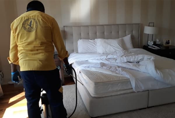 Bed bug control - Pest Control gallery